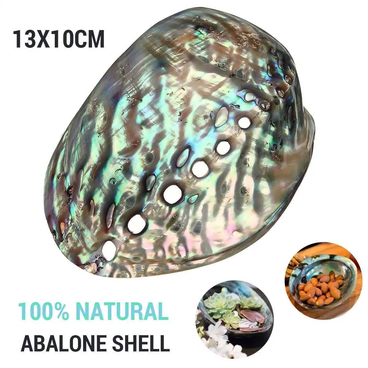 Натуральная ракушка Abalone украшения ручной работы домашнее свадебное украшение