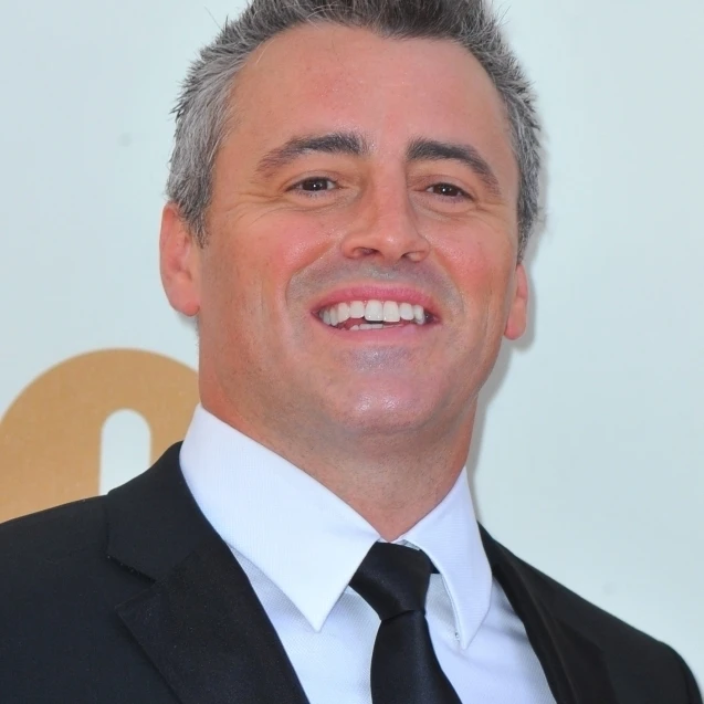 Matt Leblanc At Arrivals For The 63Rd Primetime премия Emmy 1 Photo Print (16x20)|Таблички и знаки| |
