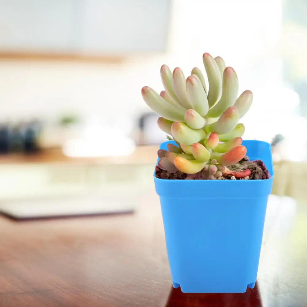 20 шт Мини Современные горшки для влагозапасающего растения маленькие