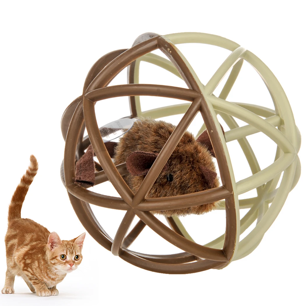Pet Supplies For Cat Kitten Dogs