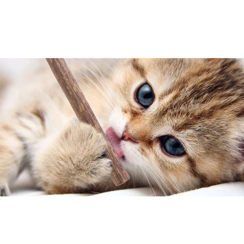 5 шт. мольный мотив зубочистки кошек чистящие зубы чистый Catnip натуральный ПЭТ