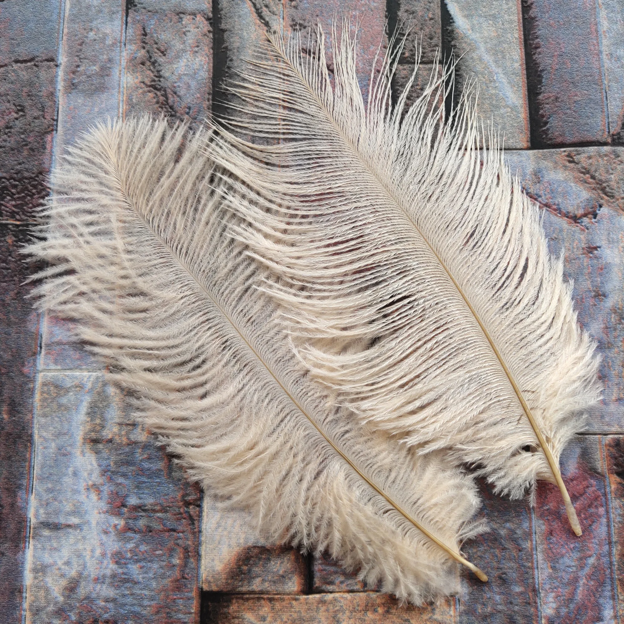 10 шт. декоративные страусиные перья 6 8 дюймов 15 20 см|colored ostrich feathers|ostrich featherostrich