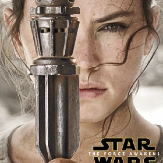 Звездные Войны Пробуждение силы Рей портрет ламинированный плакат печать 22X34 |