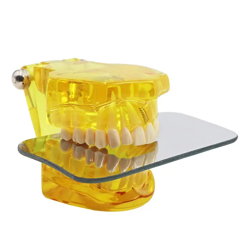 2 шт./компл. Стоматологическое интраоральное окклюзирование стороннее