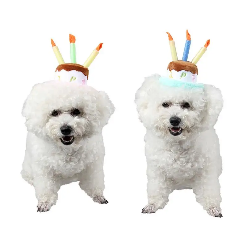 Украшение для домашних животных шляпа собака День рождения со свечей дизайн