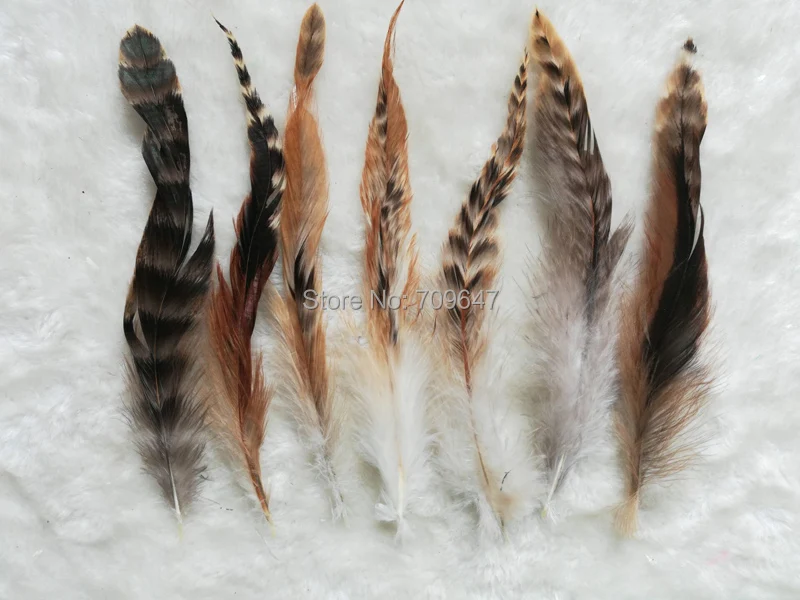 

100 шт./лот, 6-8 дюймов 15-20 см натуральный Coque Chinchila цветные перья, свободный Coque Chinchila перья для поделок
