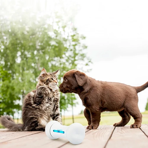Wickedbone Smart Pet игрушка с костями для волнительного общения умные игрушки собак и