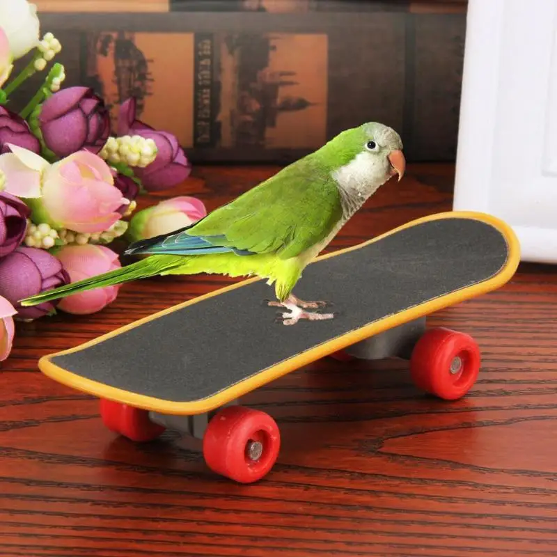 1pc Mini Training Playing Skateboarding Birds Interaction Toys Parrots Skateboard Acrobatics Funny Parakeet Pet Supplies | Дом и сад