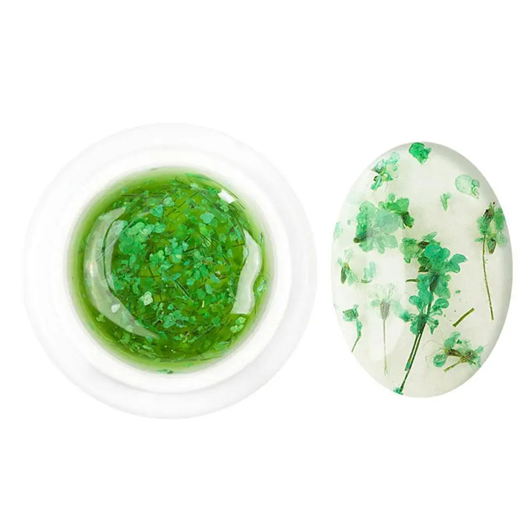 3D DIY Dried Flowers Nail Art Color 1 - 12 Decoration Gel Approx. 8ml Polish Oil | Красота и здоровье