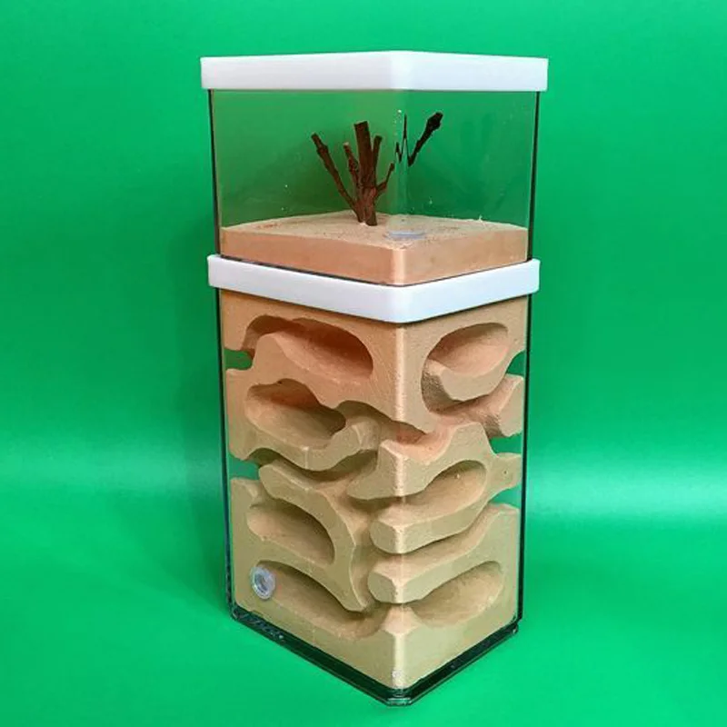 Ant земли гнездо Formicarium Корпус Farm дом для колонии мастерской|Юный биолог| |