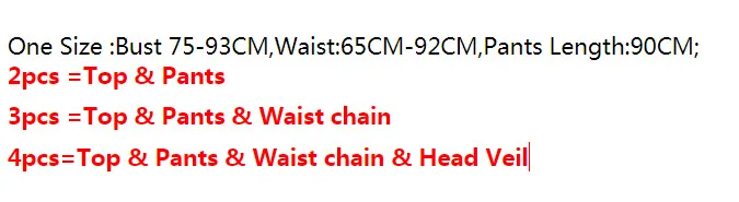 Костюмы для танца живота распродажа женские брюки индийское Платье Для