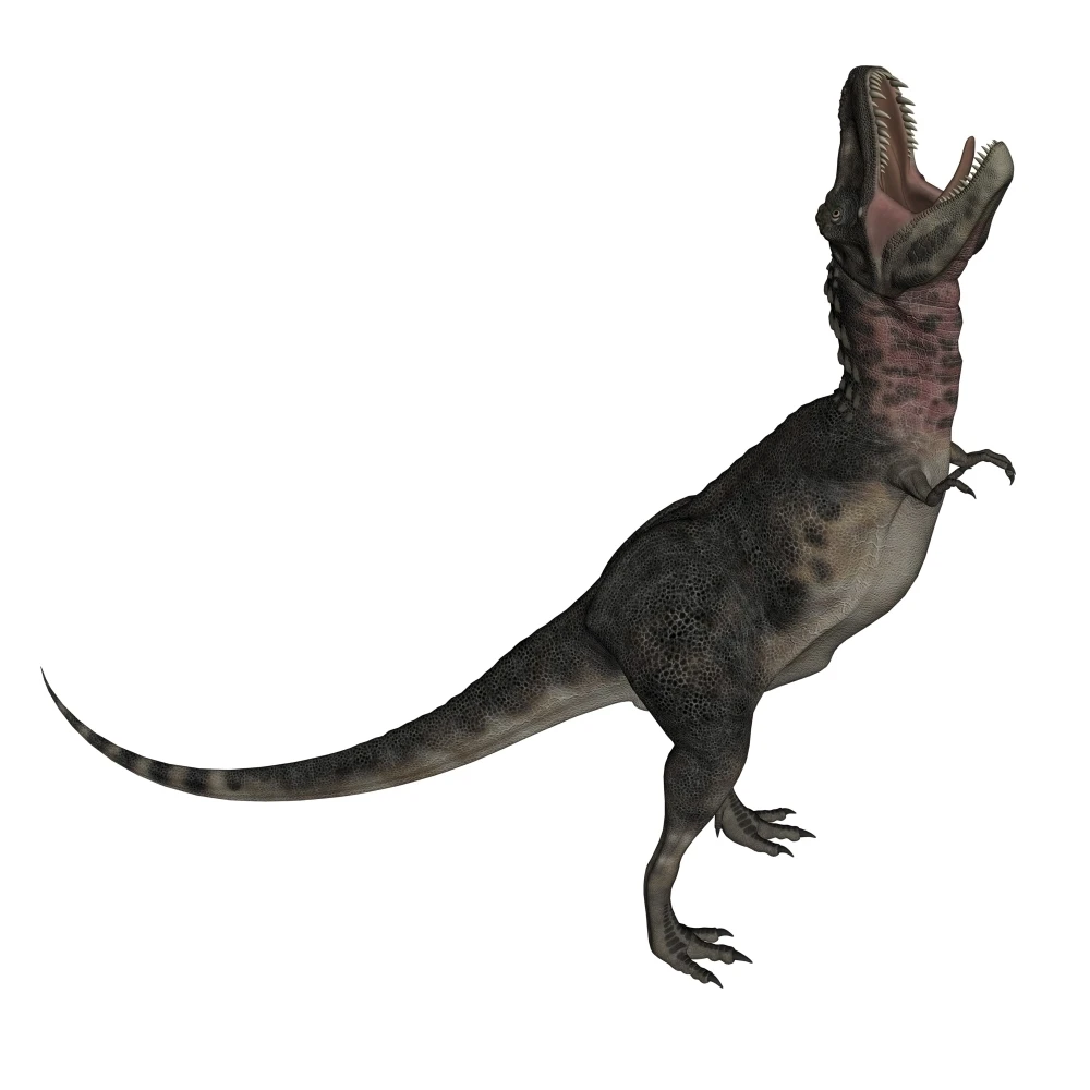 Tarbosaurus динозавр ревущий белый фон плакат печать (28x28)|Таблички и знаки| |