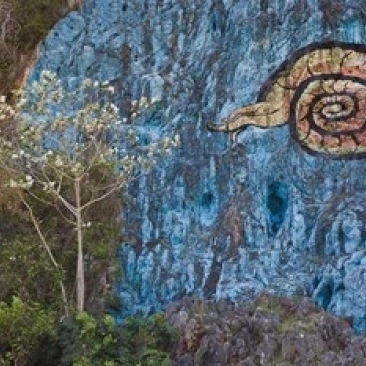 Фотообои с изображением кубинского пинара дель Рио плакат Вальтера бибиков (28x19) |