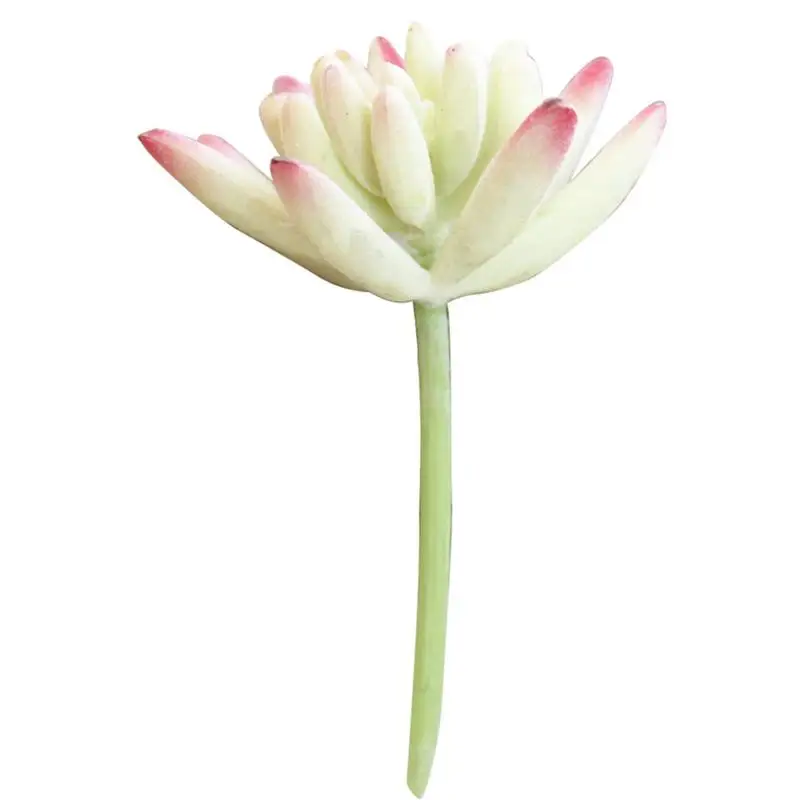 Искусственный пластик ремесло флористика суккуленты мини будды ручной формы