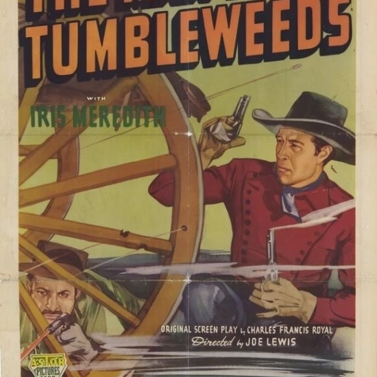 Постер с изображением человека из Tumbleweeds (27x40) | Дом и сад