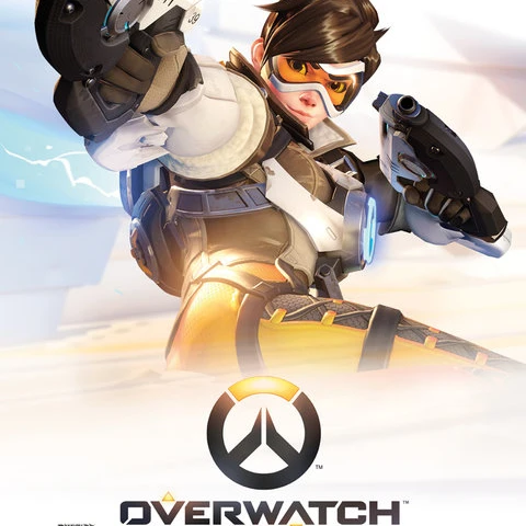Overwatch Key Art ламинированный плакат (16x20) | Дом и сад