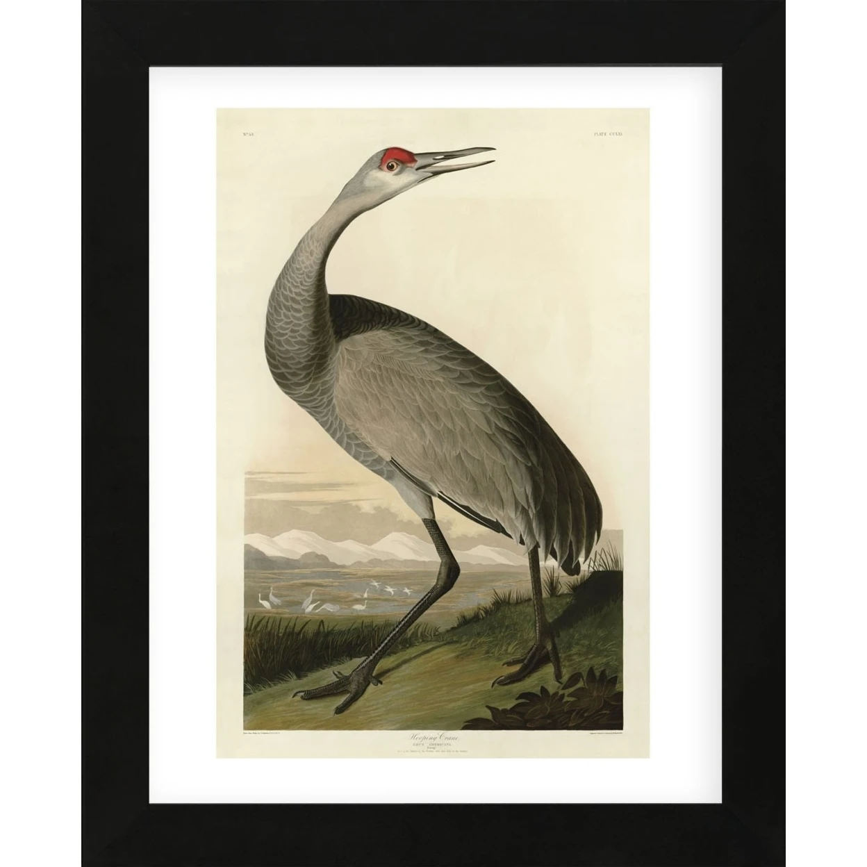 Hooping Crane (Framed) | Дом и сад