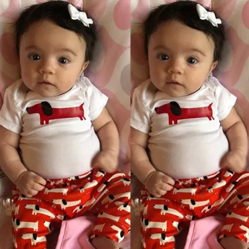 2019 Brand 2PCS Newborn Kids Baby Boy Girl Clothes Outfit Cute Dog Print Bodysuit+Pants Babygrows Set New Summer Cotton 0-24M | Детская