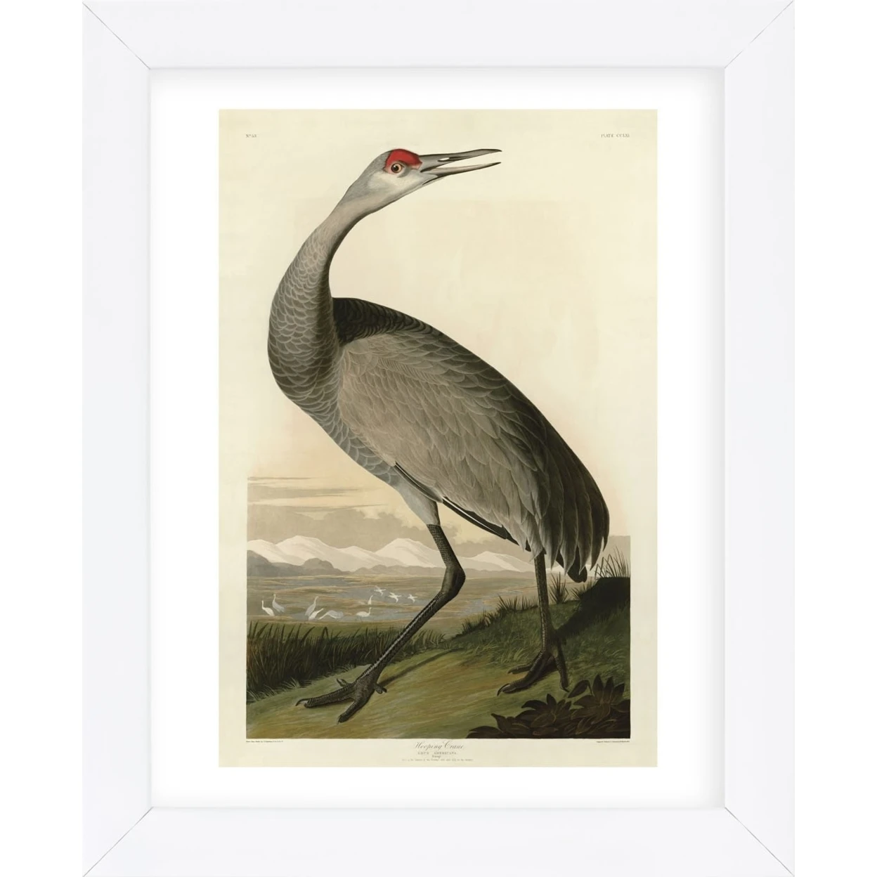 Hooping Crane (Framed) | Дом и сад