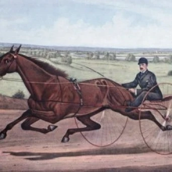 Королева дерна мод с управляется WW Bair 1880 Currier &amp Ives (1834-1907 американский)