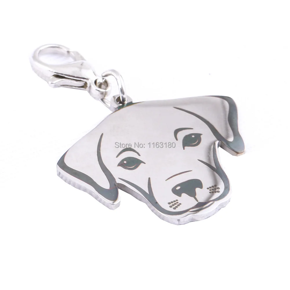 Etiqueta de identificaci&oacute;n personalizada para mascotas, etiqueta de acero inoxidable con grabado para perros, accesorios para Collar de mascotas, 12 unids/lote-5