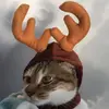Изображение товара 2
