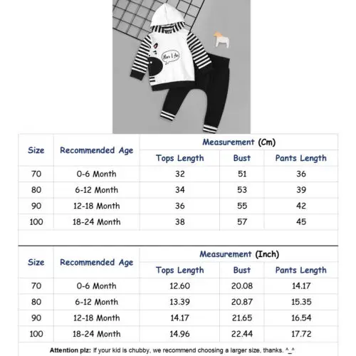 2019 2 шт. для новорожденных одежда малышей с капюшоном девочек свитер комплект из