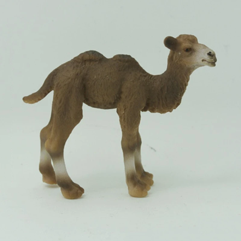 Моделирование Camel животная модель детская игрушка фигурка коллекционные