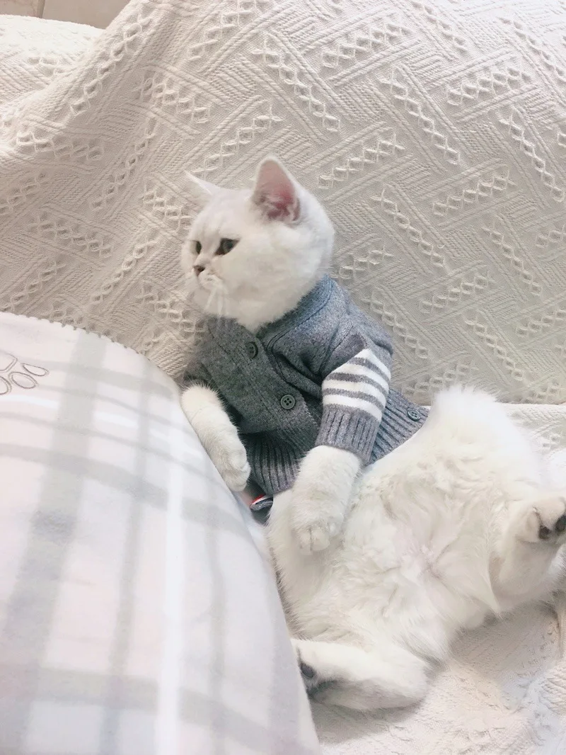 Свитер с котом куртка для отдыха модный дизайн вязаный кардиган классический