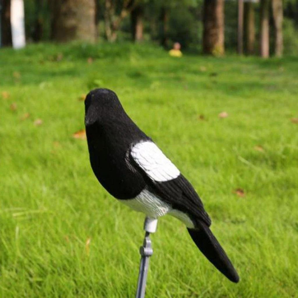 Magpie приманка охотничья Приманка Ловушка для стрельбы борьба с вредителями сад