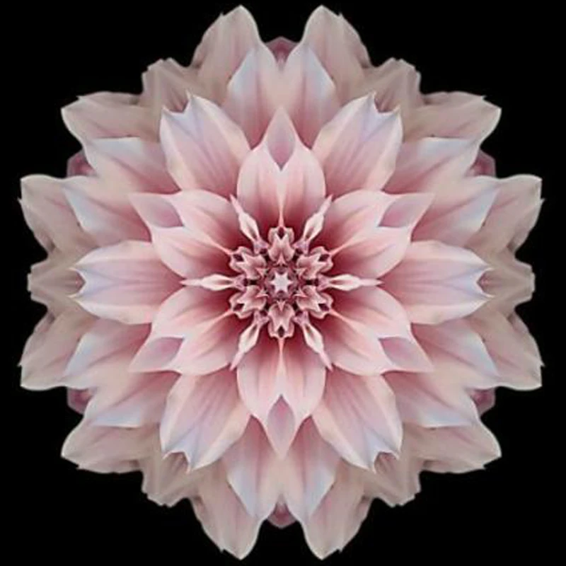 

5D DIY розовый цветок Алмазная Картина Вышивка крестом полный круглый мандала Кристалл бриллиантовой вышивки Стразы Алмазная мозаика