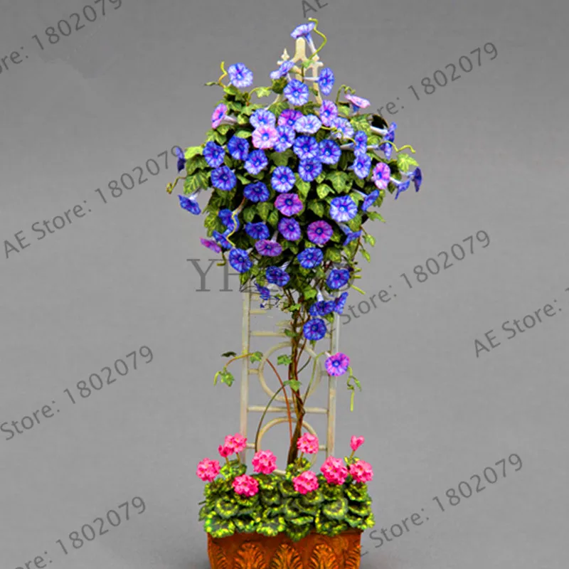 Новинка 2018!50 шт./пакет висит Петуния смешанные floresling семена редкой петунии