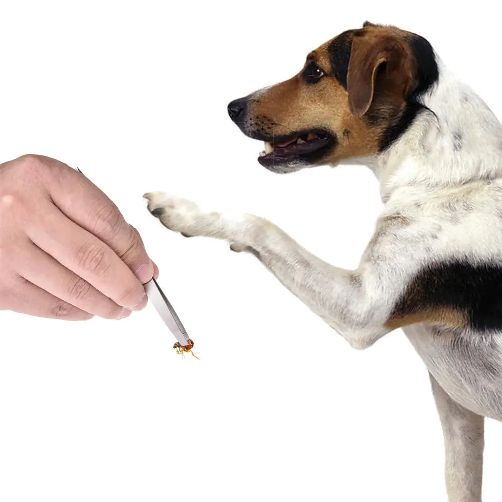3 шт Pet пинцеты для чистки комплект нержавеющая труба Блошиный вошь Tick удаления