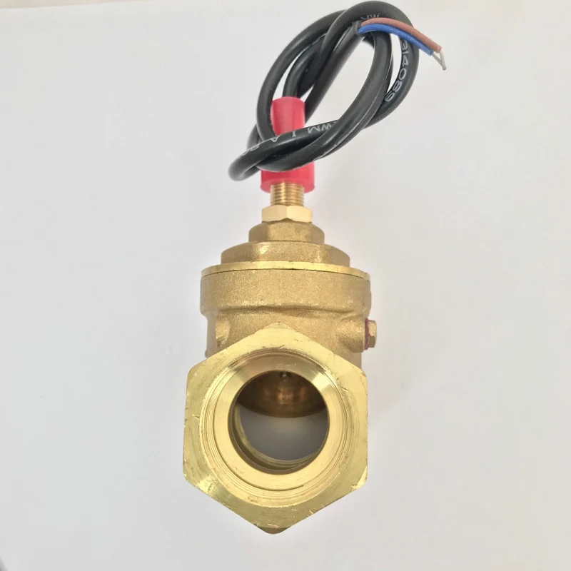 USB-FS10TA перегородка Тип потока Сенсор геркон переключатель латунный 8-50L/мин 250V DC 70