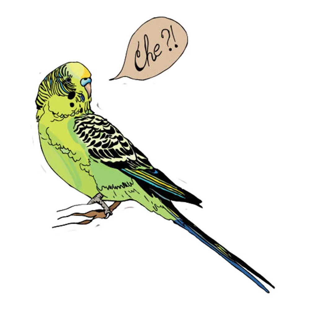 Автомобильная наклейка для ноутбука Budgie художественный