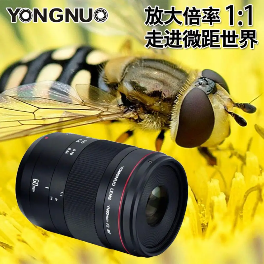 YONGNUO YN60mm F2/MF Стандартный Средний объектив для Canon основной с фиксированным