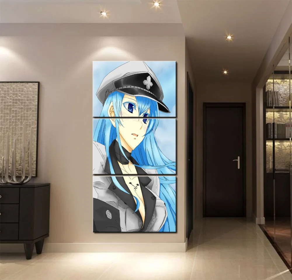 Современный домашний декор комната для девочек 3 шт. аниме Akame Ga Kill! Esdeath холст
