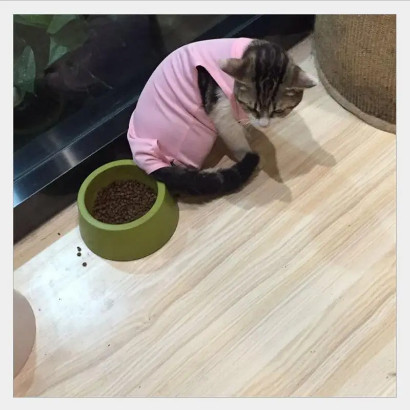 Хирургический костюм для домашних животных кошек собак служба стерилизации