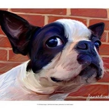 Boston Puppy постер печать Роберта макклинтока (19x13) | Дом и сад