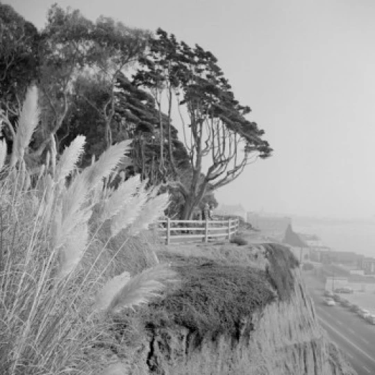 США Калифорния Лос Анджелес Wilshire Boulevard Pacific Ocean seen from Miracle Mile Poster Print (18x24)|Таблички и