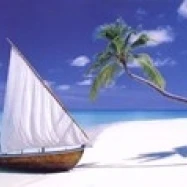 Paradise Found Poster Print (36 x 12) | Дом и сад