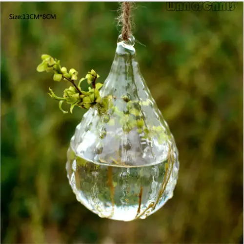 1 х подвесной стеклянный прозрачный Террариум круглый шар плантатор для растений