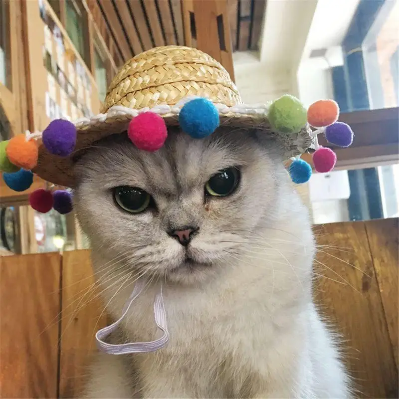 Женская соломенная шляпа от солнца для домашних животных кошек собак летняя и