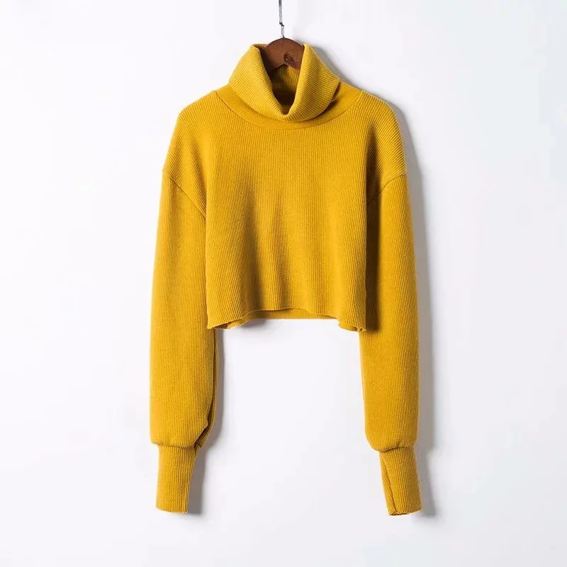 High Quality Autumn Winter Turtleneck Crop Tops Short Casual Basic Solid Sweater Women Long Sleeve Knitted Pullovers | Женская одежда