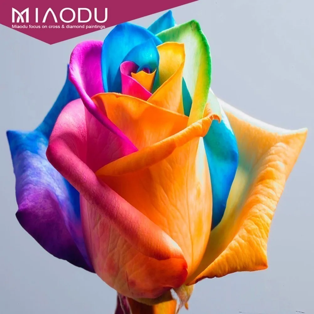 Miaodu цветная Роза 5D DIY Алмазная картина крестиком цветок мозаика стразы