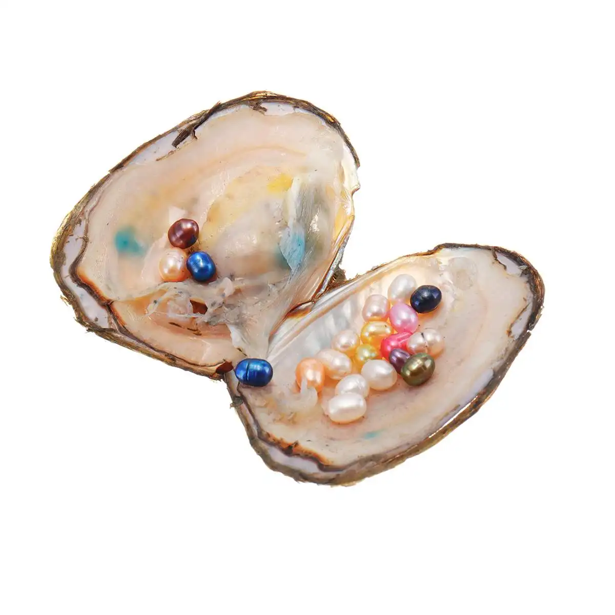 Натуральный жемчужный пресноводного жемчуга многоцветные жемчужные устрицы