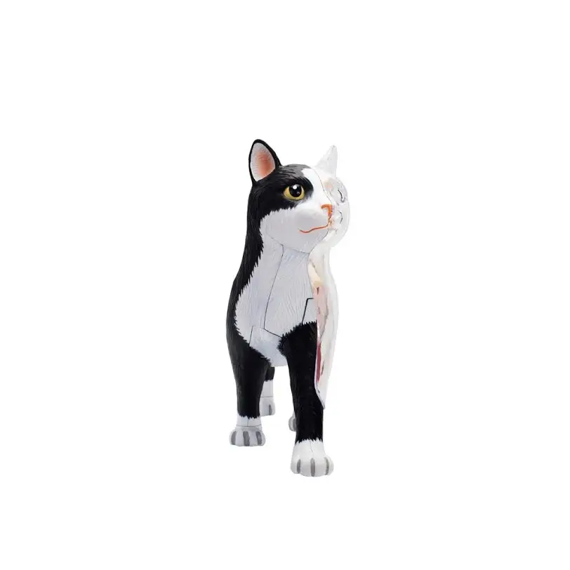 Чёрно-Белый Кот 4d головоломка сборная игрушка животное биология орган
