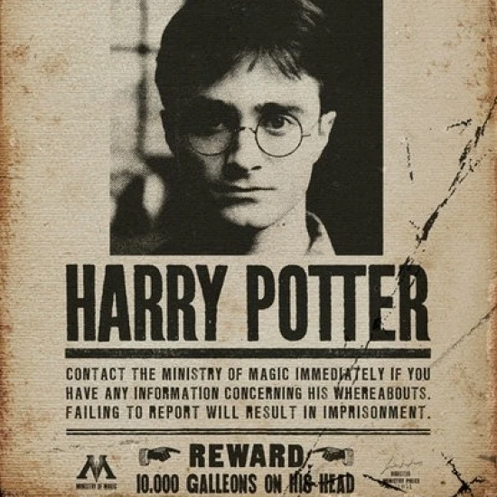 Гарри Поттер нежелательный No 1 Wanted Poster ламинированный плакат (24X36)|Таблички и
