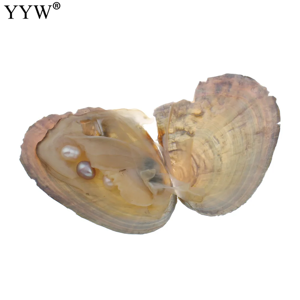 10 шт раковины shwater Wish Pearl Oyster вакуумная упаковка с 3 цветными жемчужинами внутри