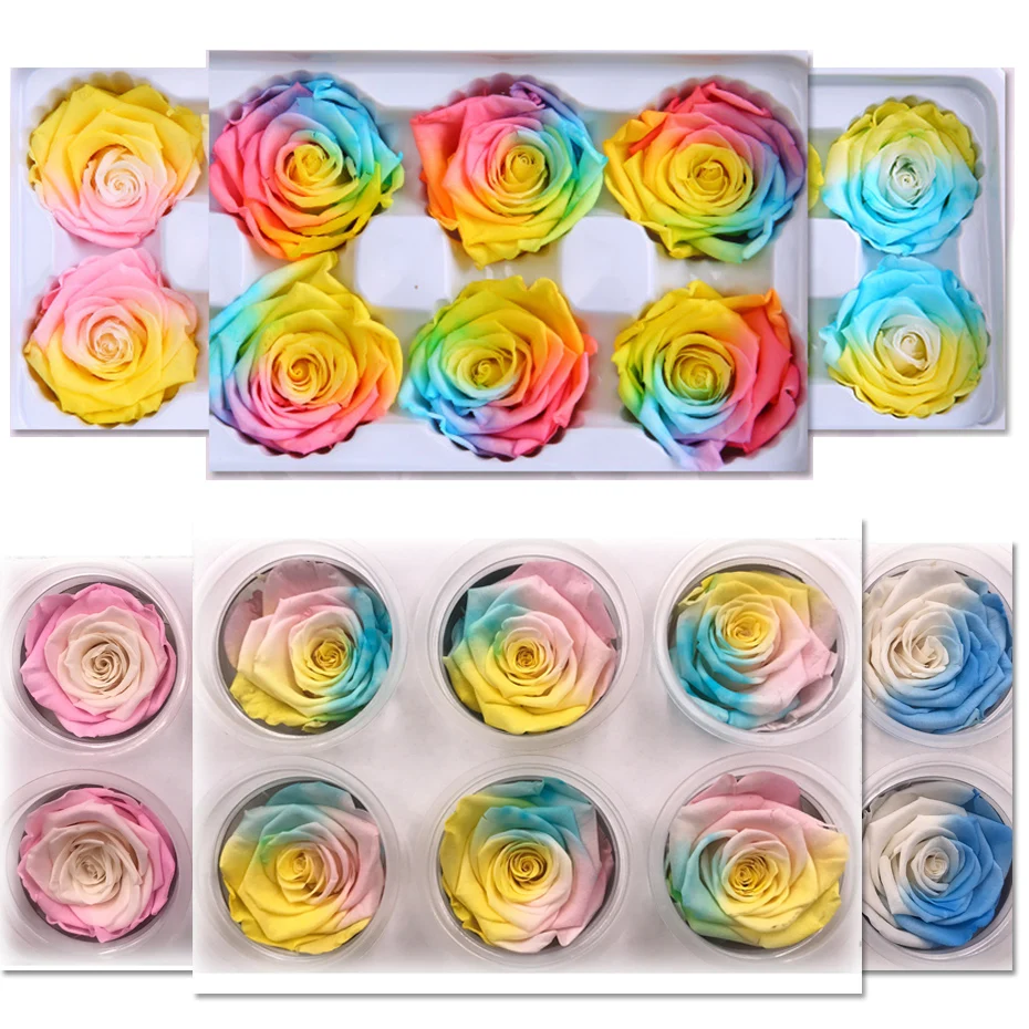 1 коробка Высокое качество Красочные розы цветок бессмертный Rose5 6CM диаметр